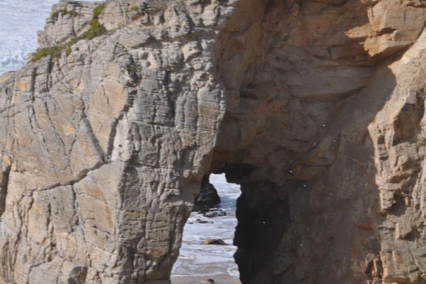 La Bergerie - foto 28