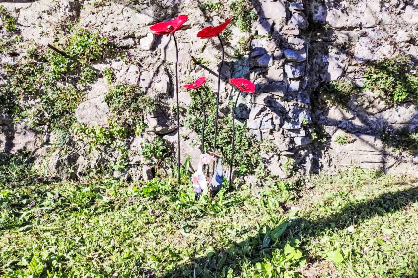 Papaveri e Papere - foto 30