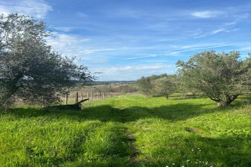 Villa Celli - foto 30