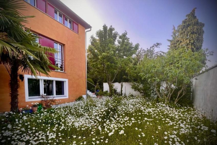 1,5 Zimmer Ferienwohnung