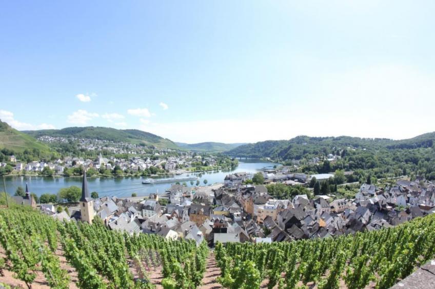 Haus Budinger - foto 12