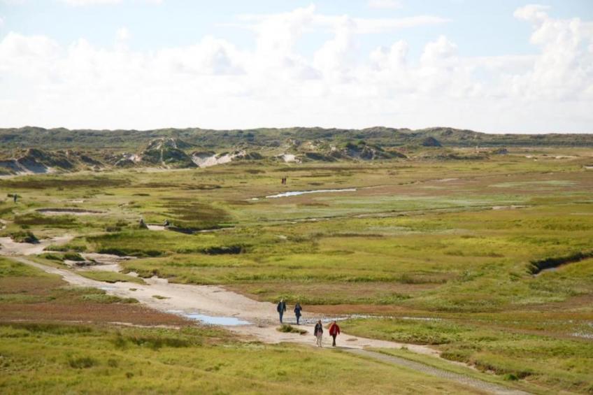 Villapark De Koog 1 - foto 33