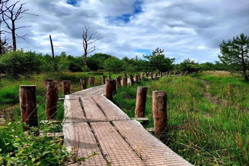 Vakantiepark de Noordster 3 - foto 26