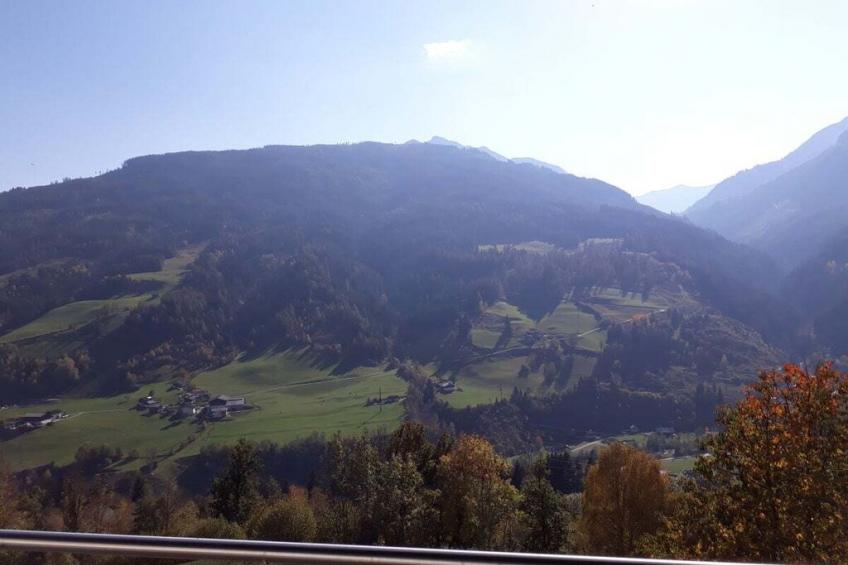 246465 - foto 5