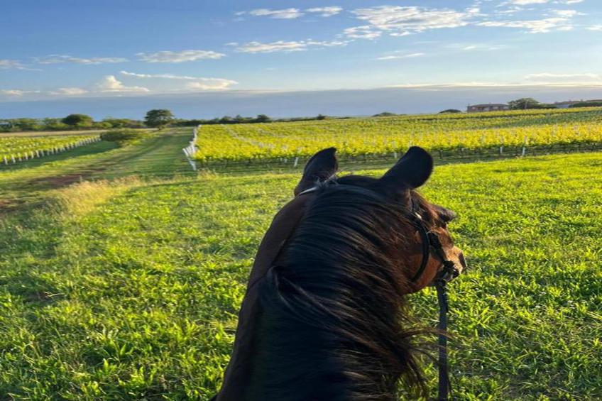 Casa Deborah with Private Pool - foto 32