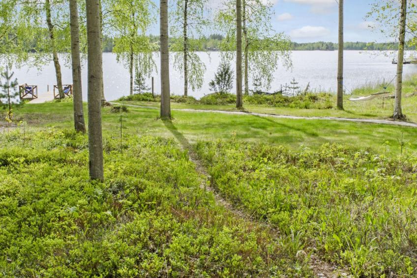 Rääkkylä honkaniemi - foto 50