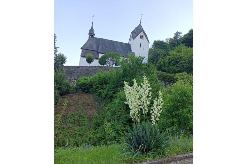 32806 - foto 20