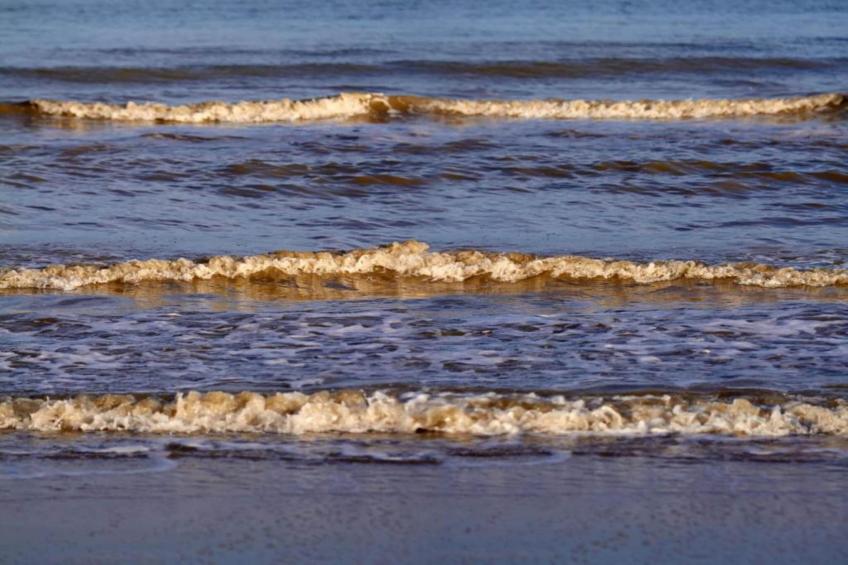 Beach Resort Nieuwvliet-Bad 16 - foto 29