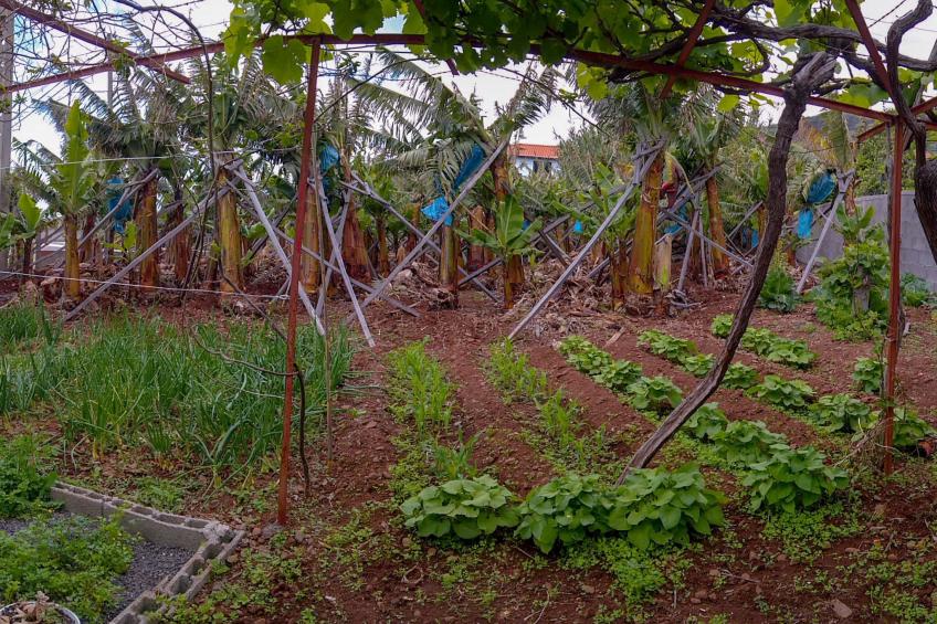 Typische Bauernhof-Wohnung - foto 42