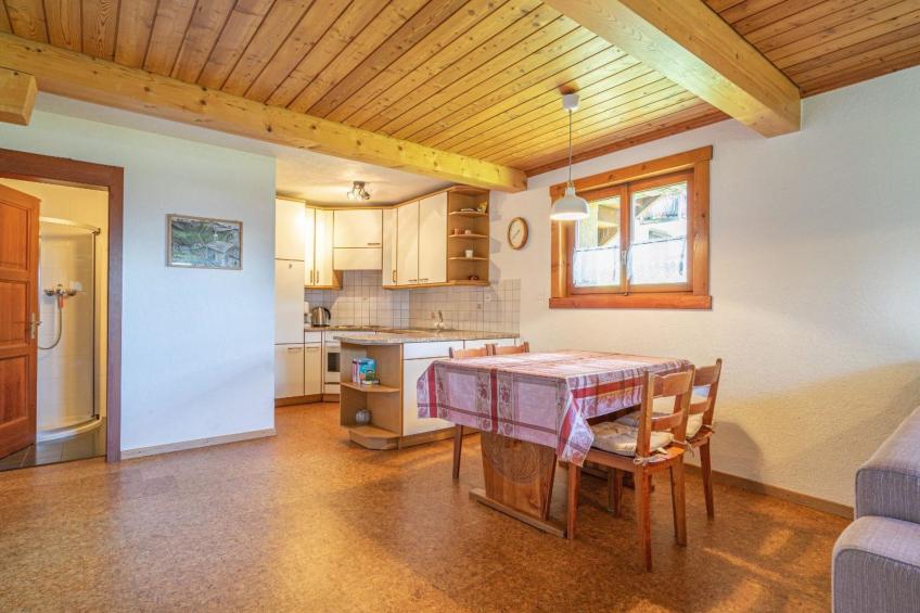 Chalet Leiggener Appartement/Fewo, Dusche Leiggener EG - foto 7