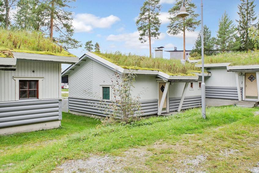 Kulta-käkönen 3 by bomba - foto 16