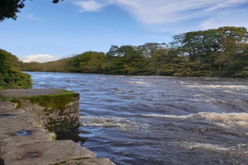 Eryri Magic - foto 26