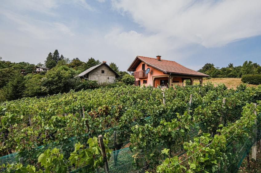 Harvest Horizon Holiday Home with Sauna - One Bedroom Holiday Home - foto 30