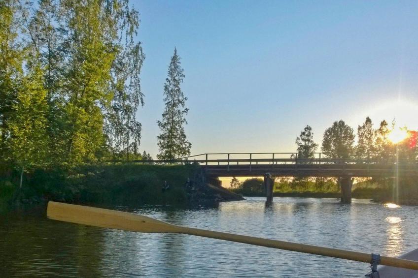 Pikkupehtoori, seeteri - foto 32