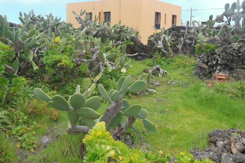 Traditionelles kanarisches Landhaus - foto 50