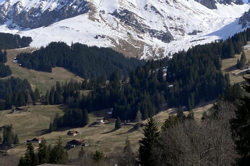 Wildbach - foto 6
