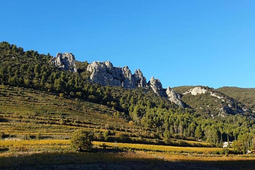 Villa Belle Suzette - foto 36