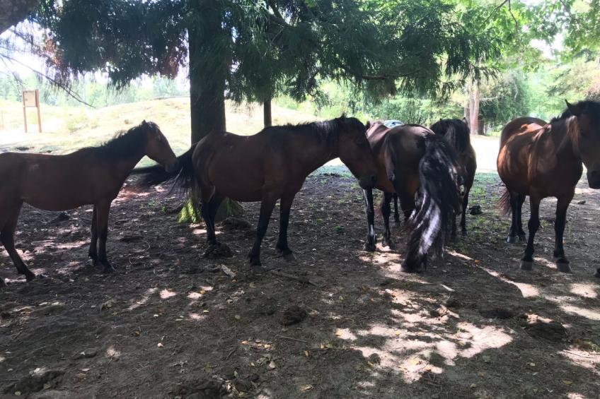 Casas das Olas 6 - Großartige Aussicht, 2 Pools, idealer Ort zum Entspannen und - foto 39