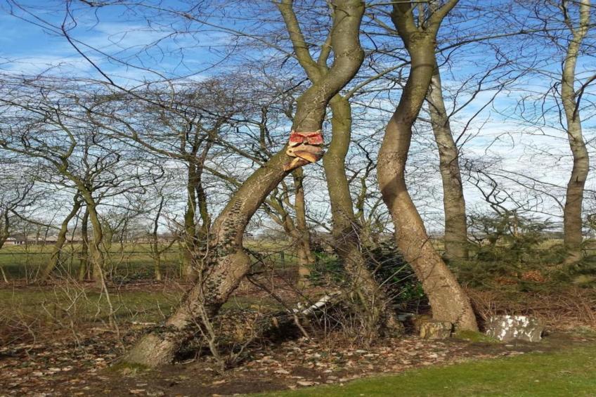 Koe in de Kost 4 - foto 35