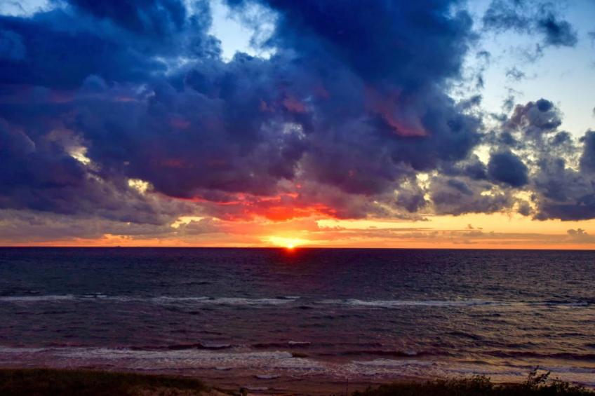 Ferienhaus Küstenwald klein - Strandhotel Fischland - foto 37