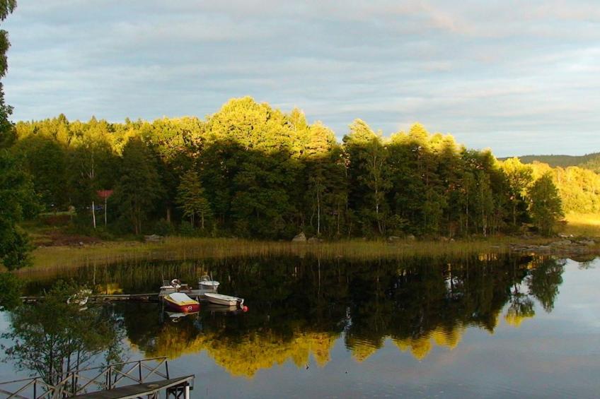 Schwedisches Glück, zwischen Wäldern und einem See - foto 23