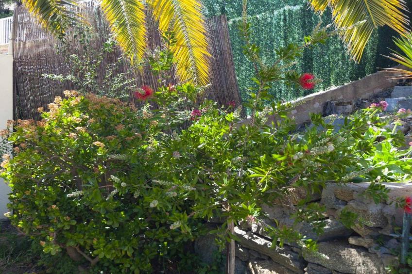 1233 VILA NEUS con piscina - foto 37