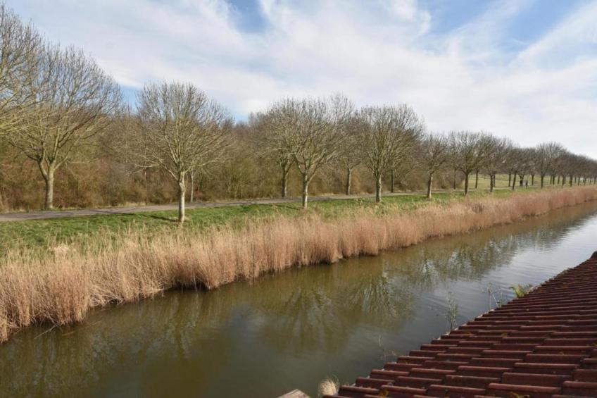 Standaard 337 - foto 15