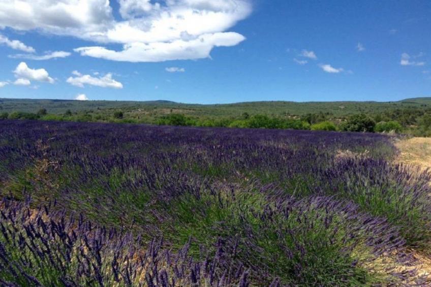 Morard - Bonnieux Appt Bleu Provence - foto 12