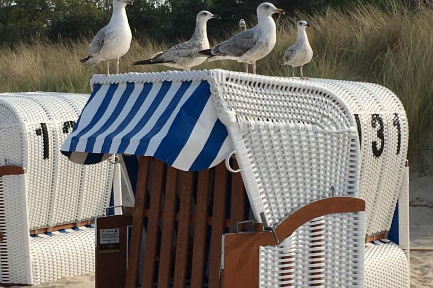 Haus Morgenstern - foto 10