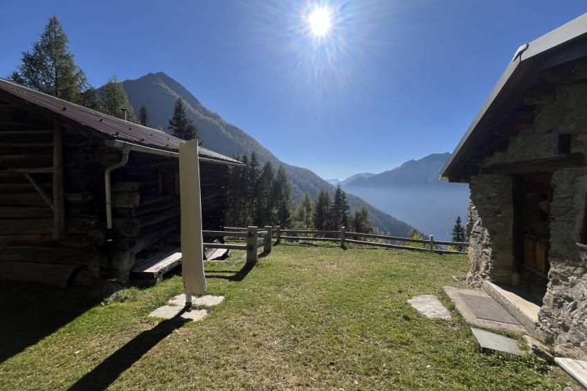 Presa Daint - foto 4