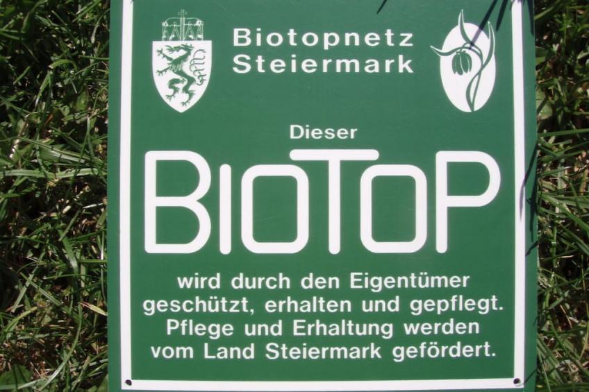 84600 - foto 23