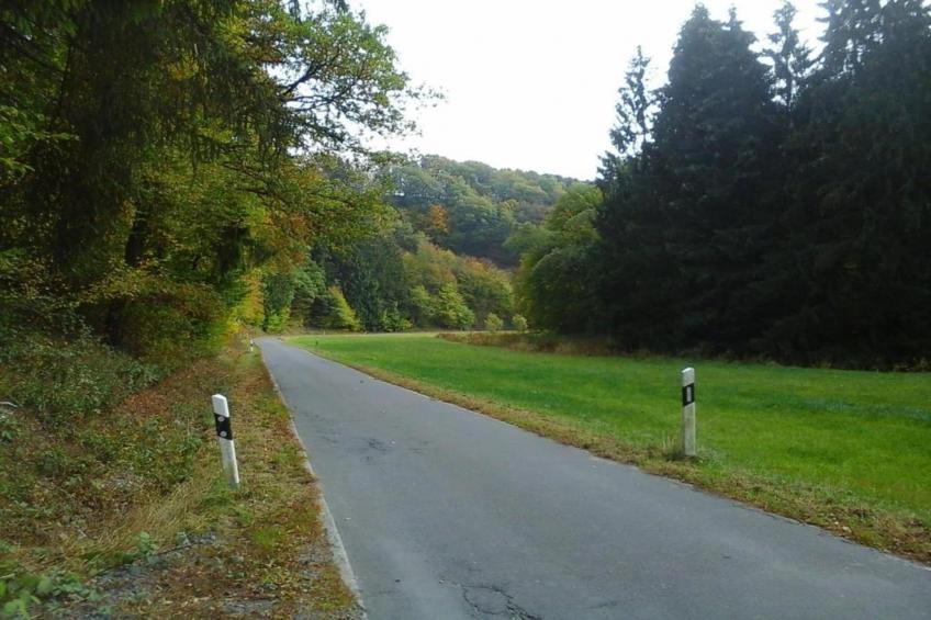Ferienwohnung im Westerwald - foto 40