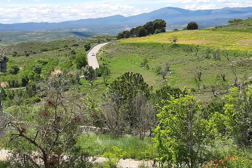 Landwohnung mit Bergblick - foto 30