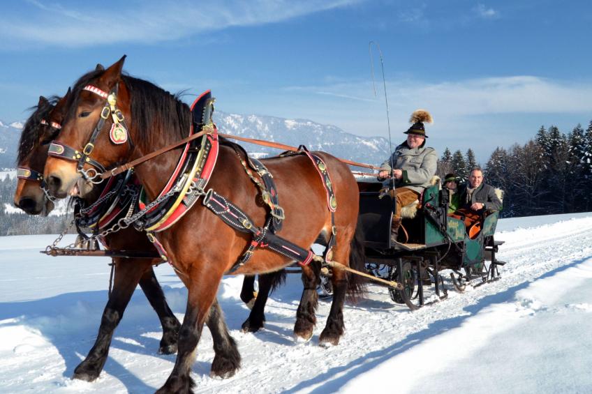 Appartement Bergkristall mit Gebirgsblick - foto 35
