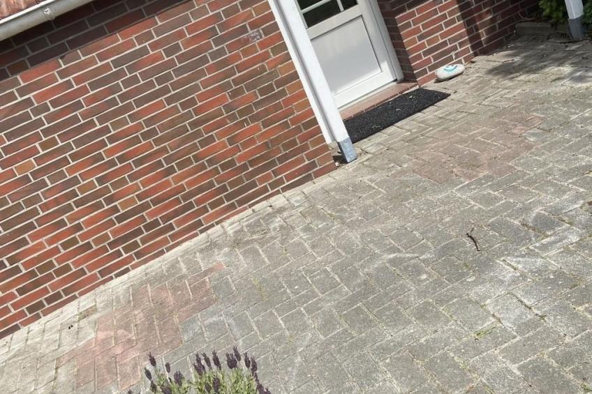 Leschin - Ferienwohnung Herzmuschel - foto 2