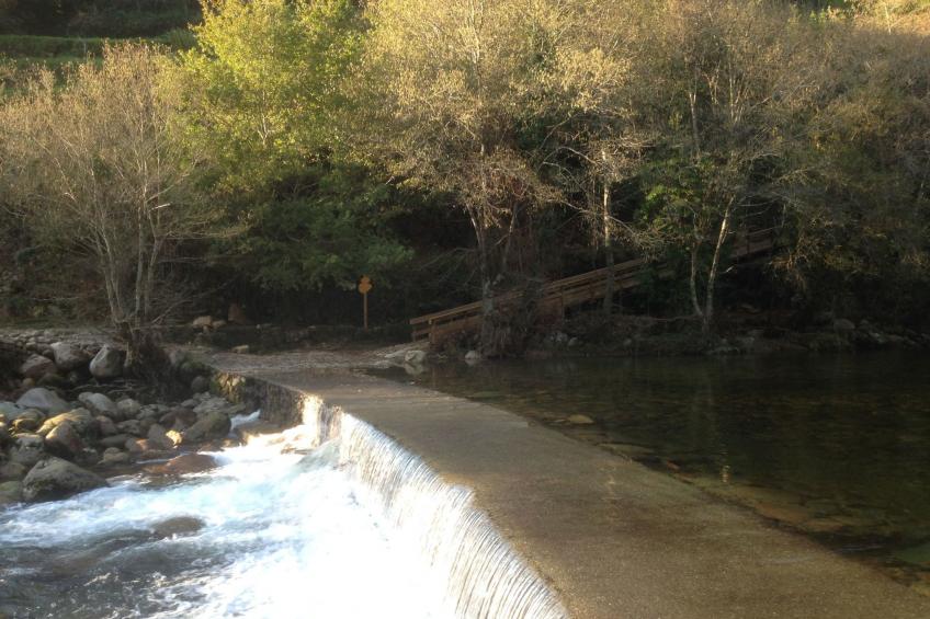 "Großmutters Häuschen" mit überdachter Terrasse - foto 31