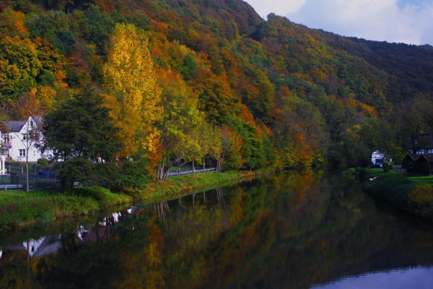 Chalet Wiedfluh in Waldbreitbach - foto 32