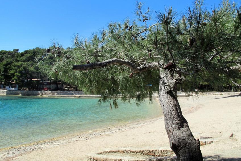 Villa Androcec - foto 23