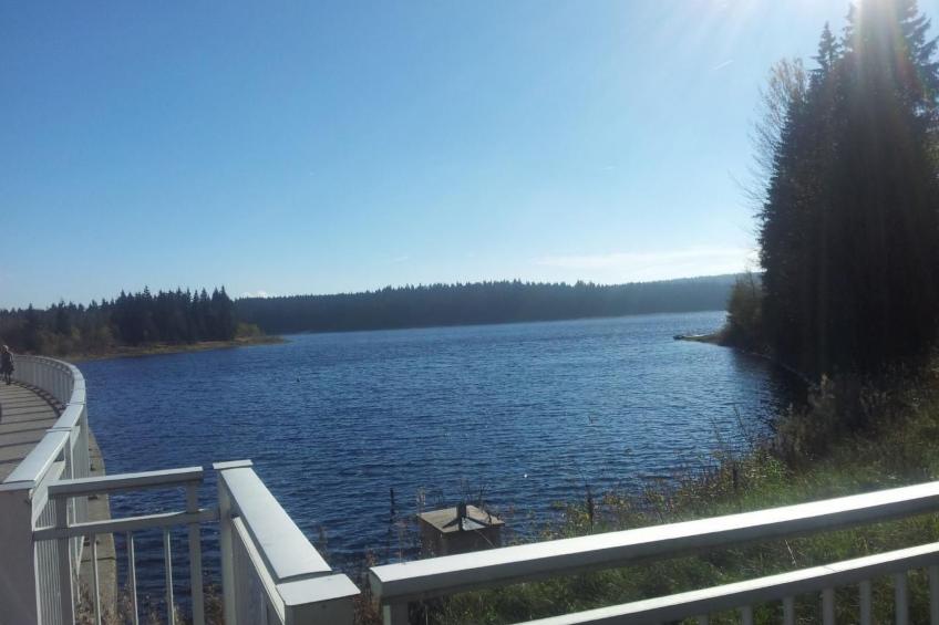 Fewo "Am Skihang OG" - foto 14