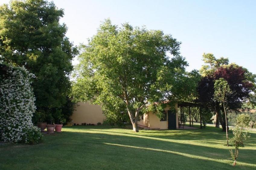 Haus mit Gartenblick - foto 28