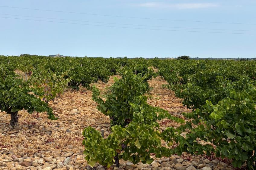 Sorgue 4 - foto 32