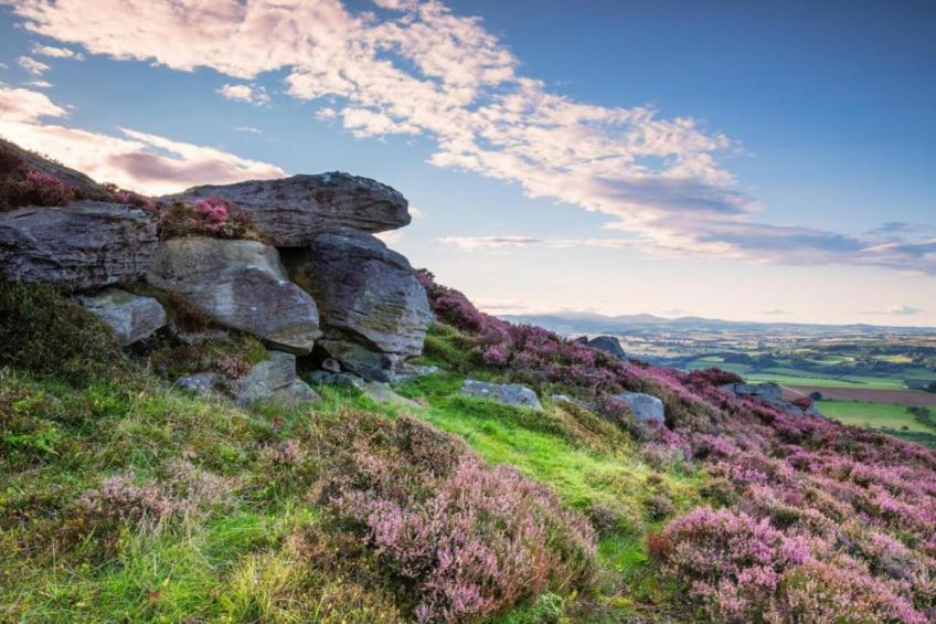 Wheatley's Glamping - foto 19