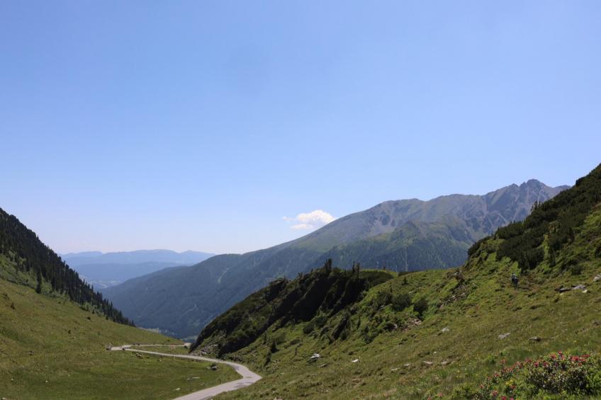 Haus Hestia - foto 44