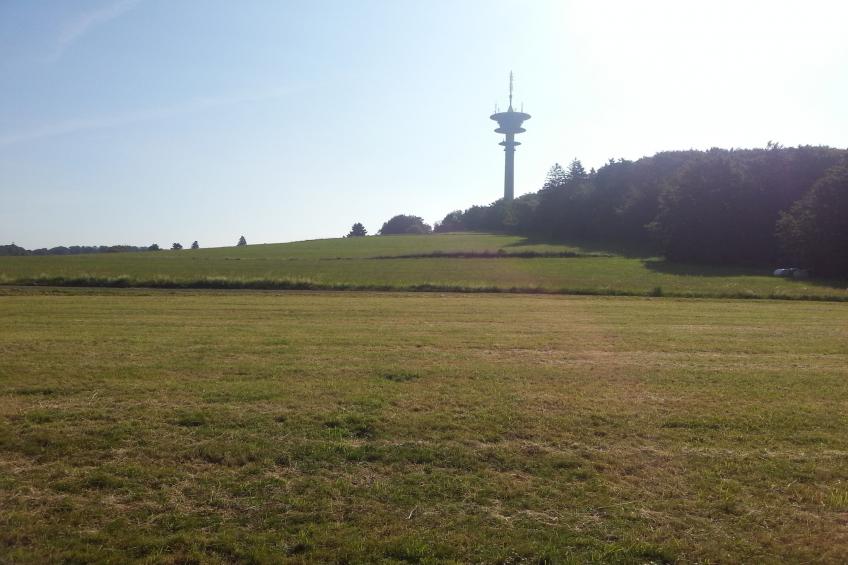 Rosenrain - foto 32