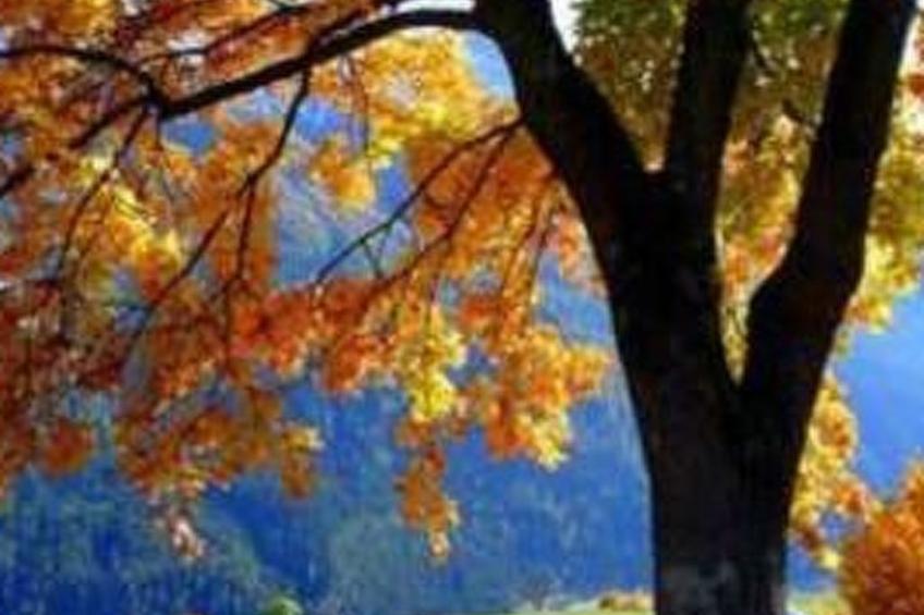 Alte typische Engadinermühle - foto 42