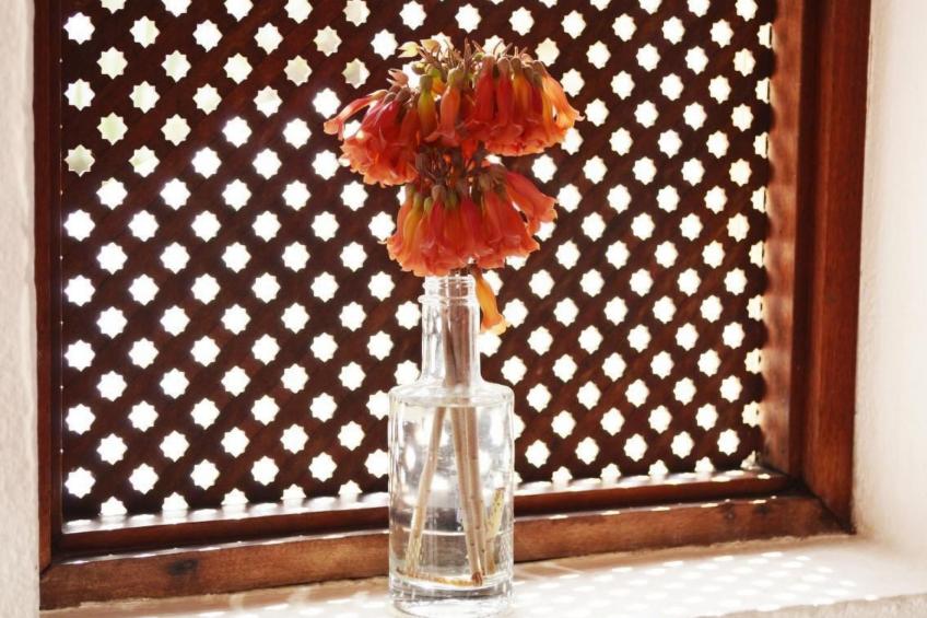 Appartement Casa Hibisco mit schönem Garten - foto 16