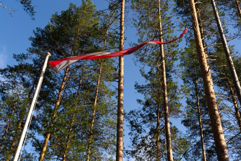 Villa käpytikka - foto 34