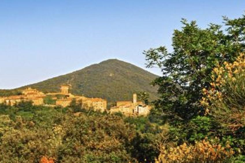 Agritourismus Val di Sterza - foto 15