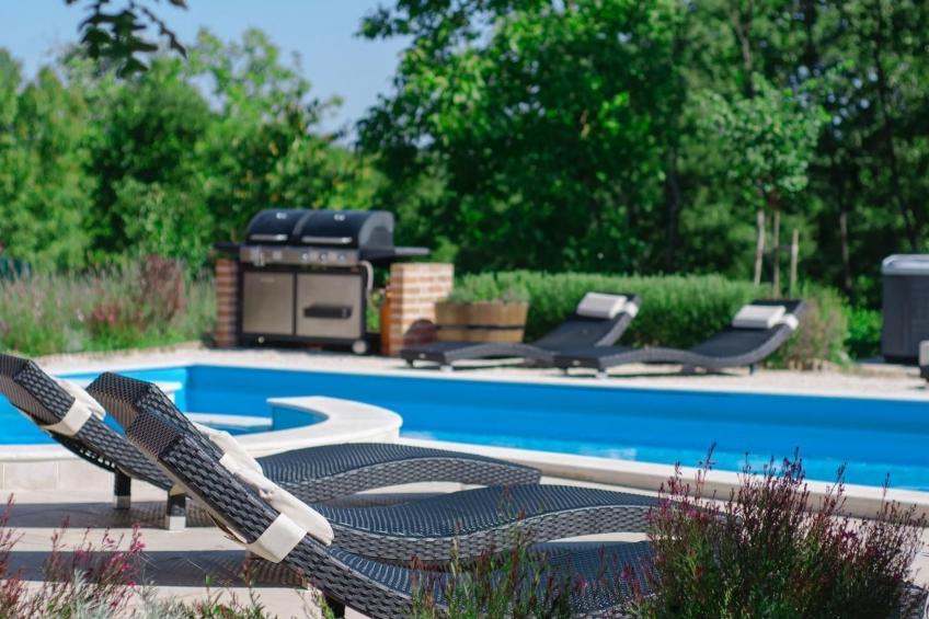 mit Pool, Whirlpool, Terrasse und Garten - foto 11