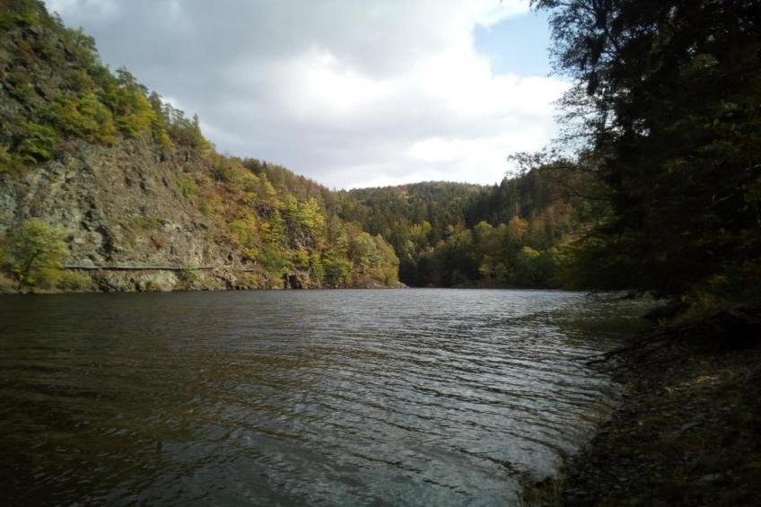 Ferienwohnug an der Saale - foto 29